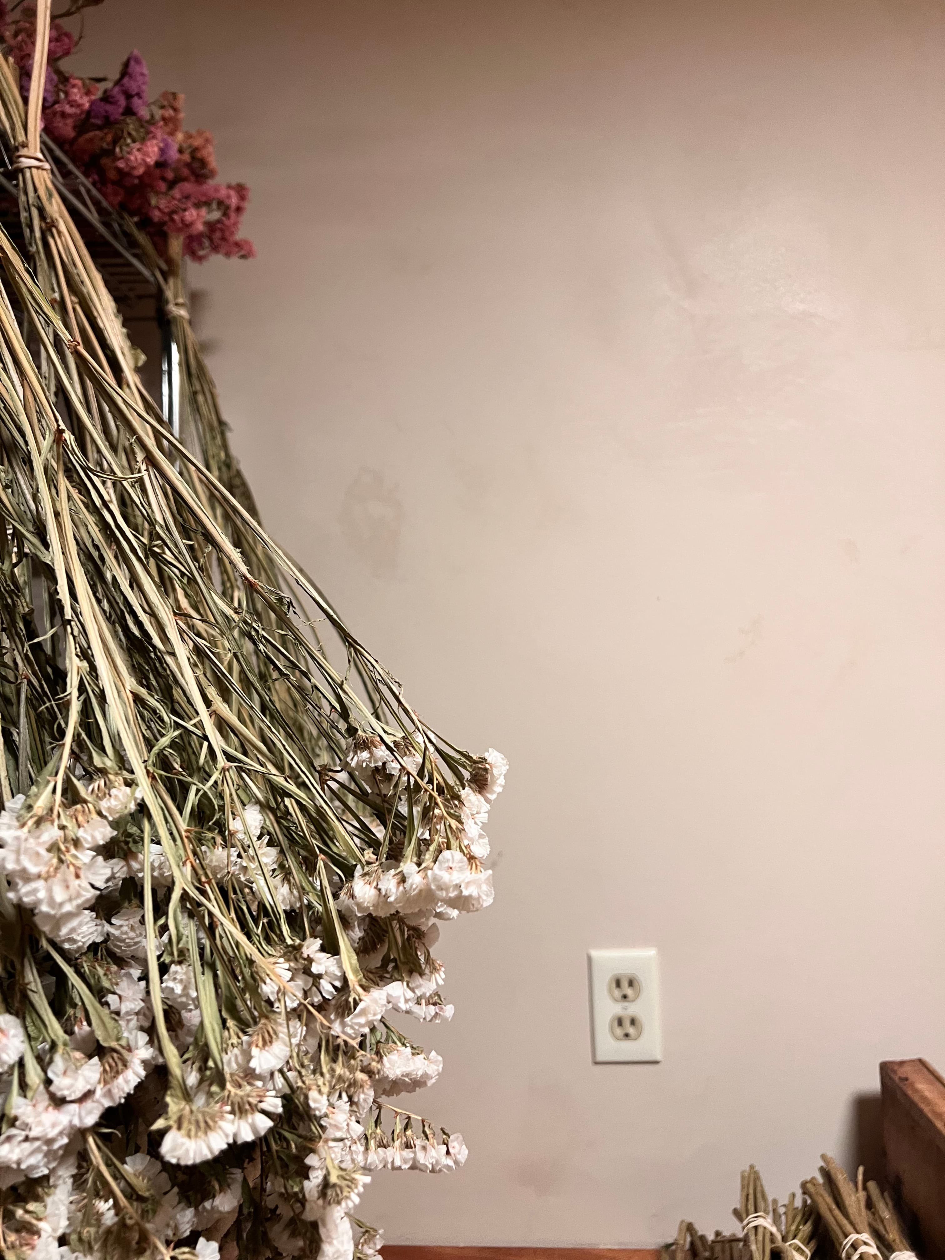 Florist Studio — natural plaster project in Acme, WA