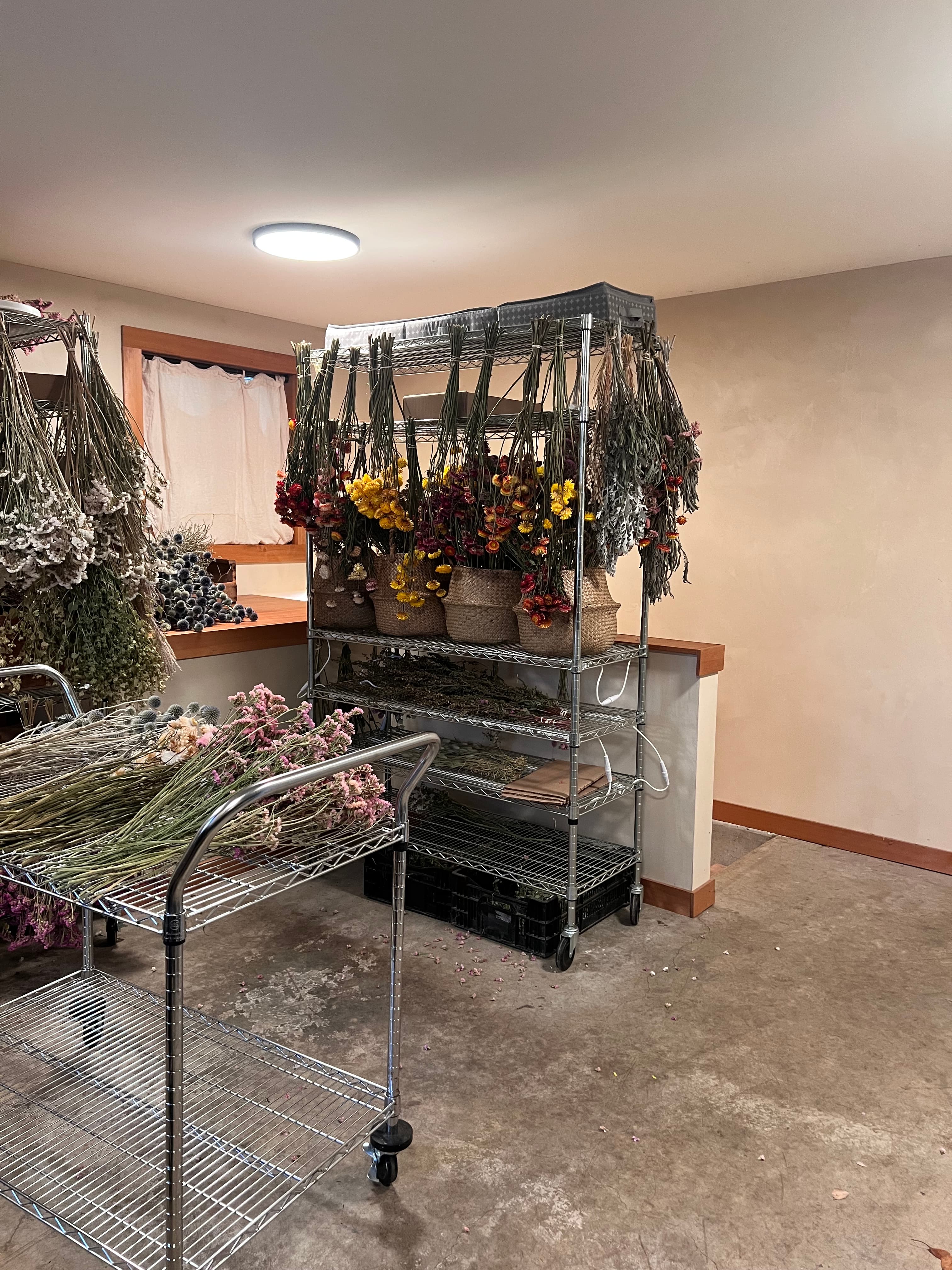 Florist Studio — photo 3