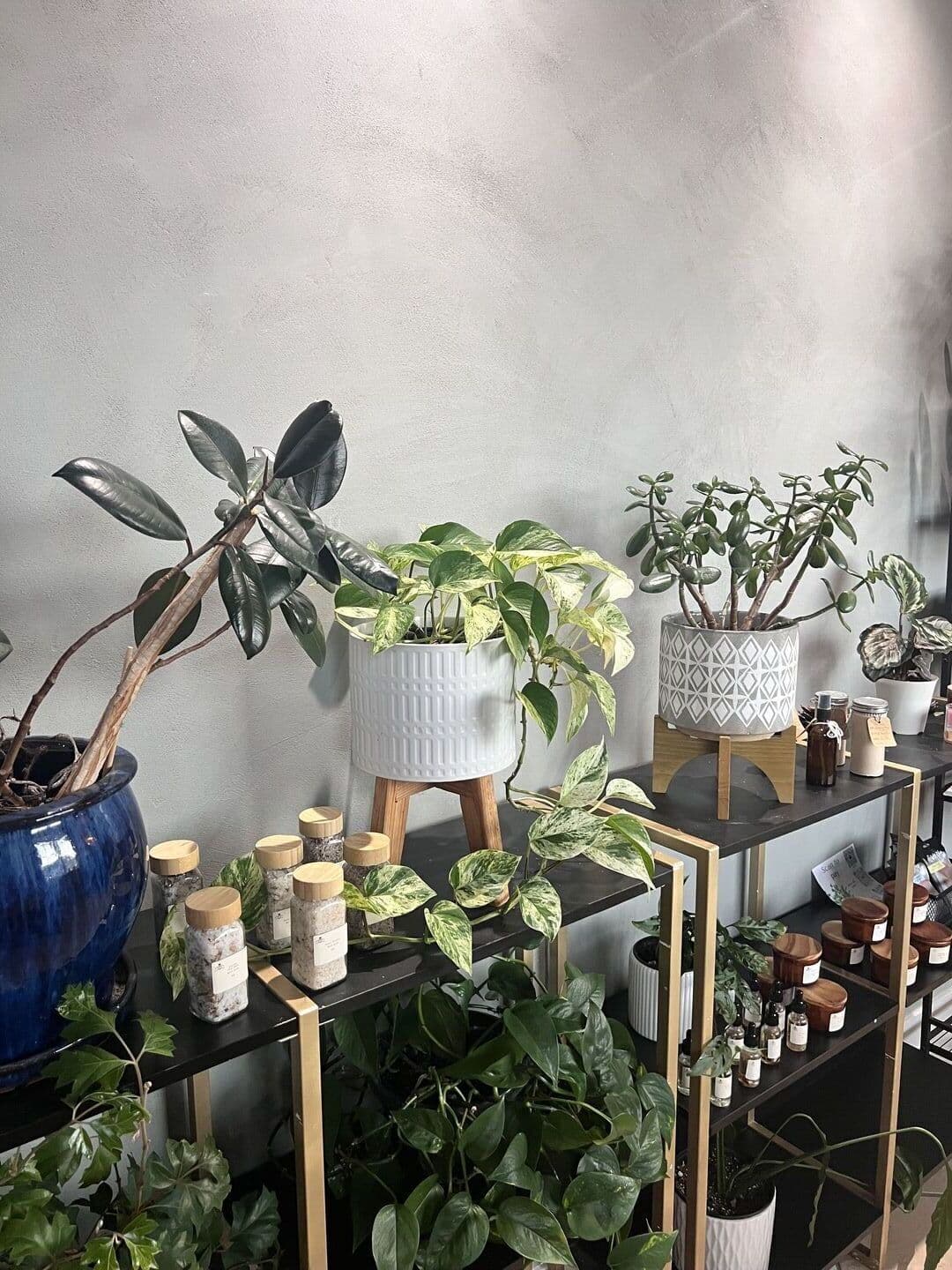 Massage Studio — photo 2