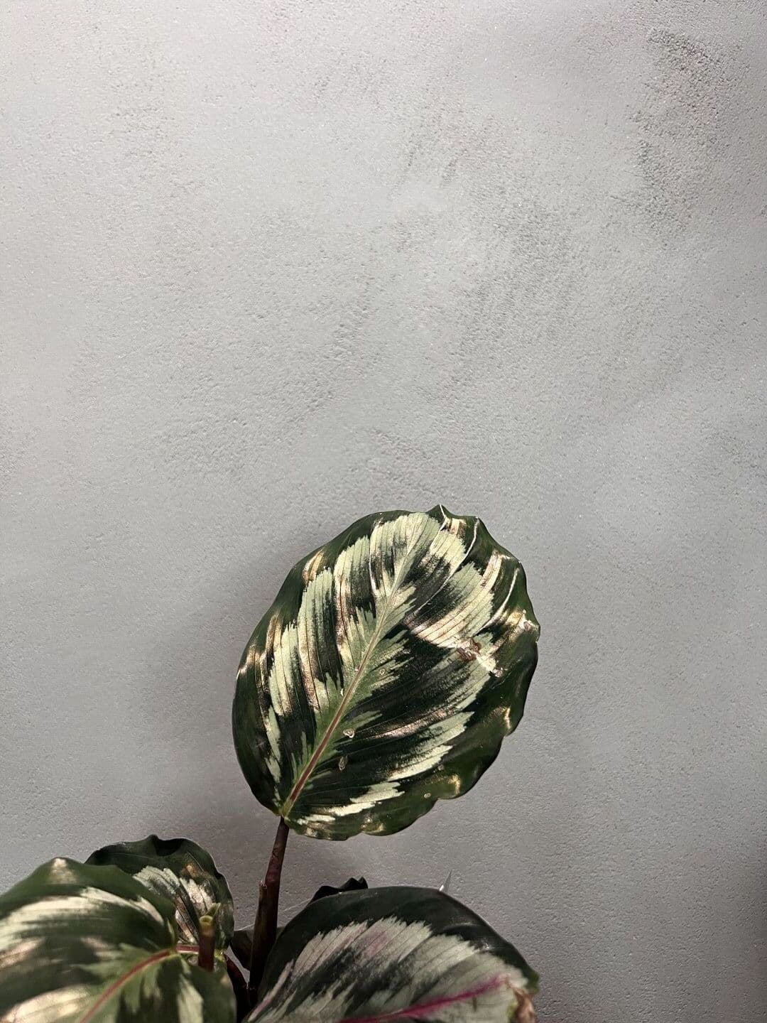 Modern Bathroom — photo 5